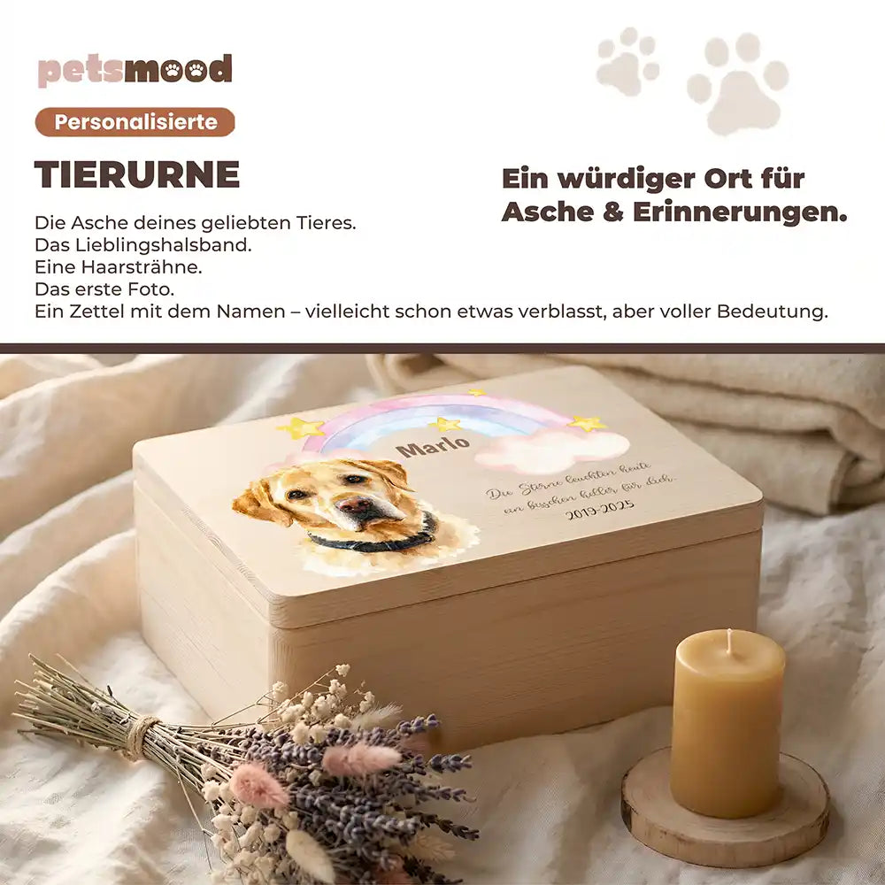 Tierurne Hund Holz – Aquarell-Porträt mit Sternenregenbogen, Platz für Asche und Erinnerungen