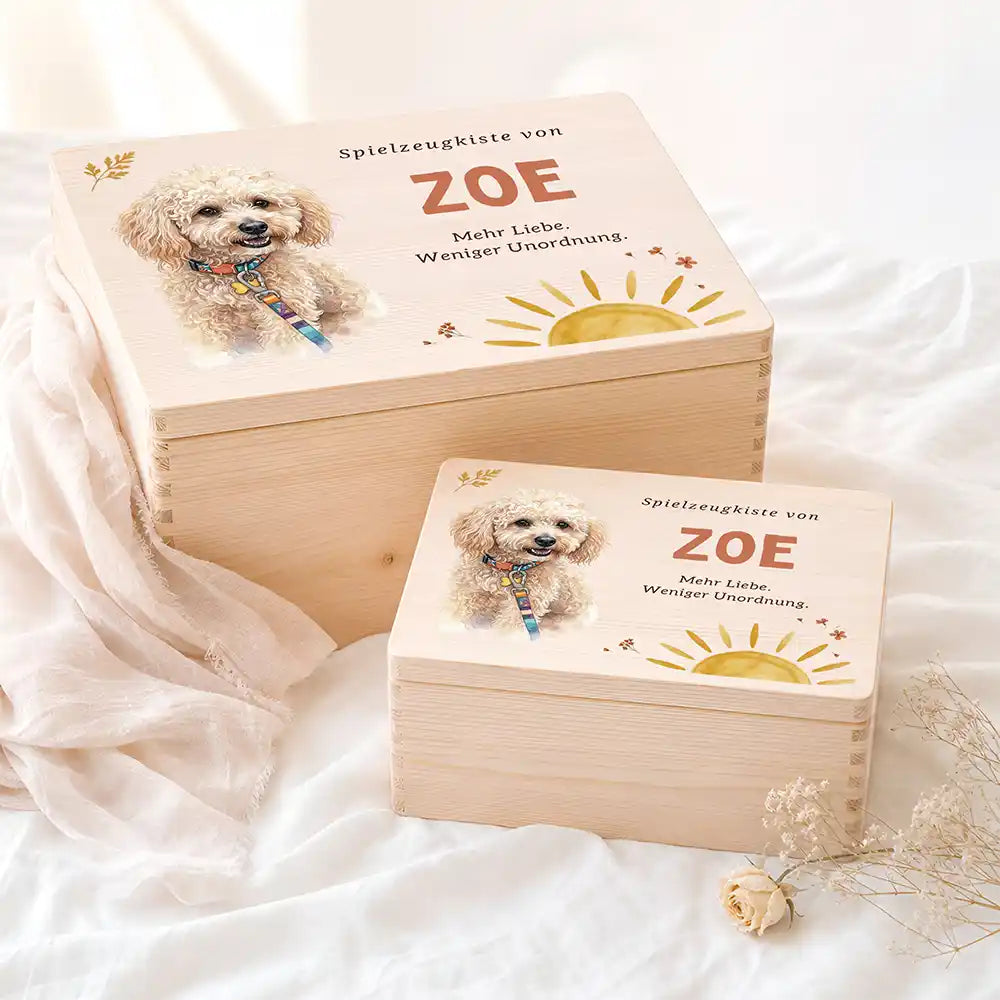 Personalisierte Spielzeugkiste Hund Sonne mit Streublumen – Etsy Hauptbild Hero mit French Bulldog (fawn) Variante 3