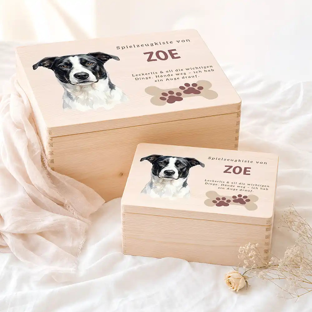 Personalisierte Spielzeugkiste Hund Knochen mit Pfoten – Etsy Hauptbild Hero mit Australian Shepherd Variante 5