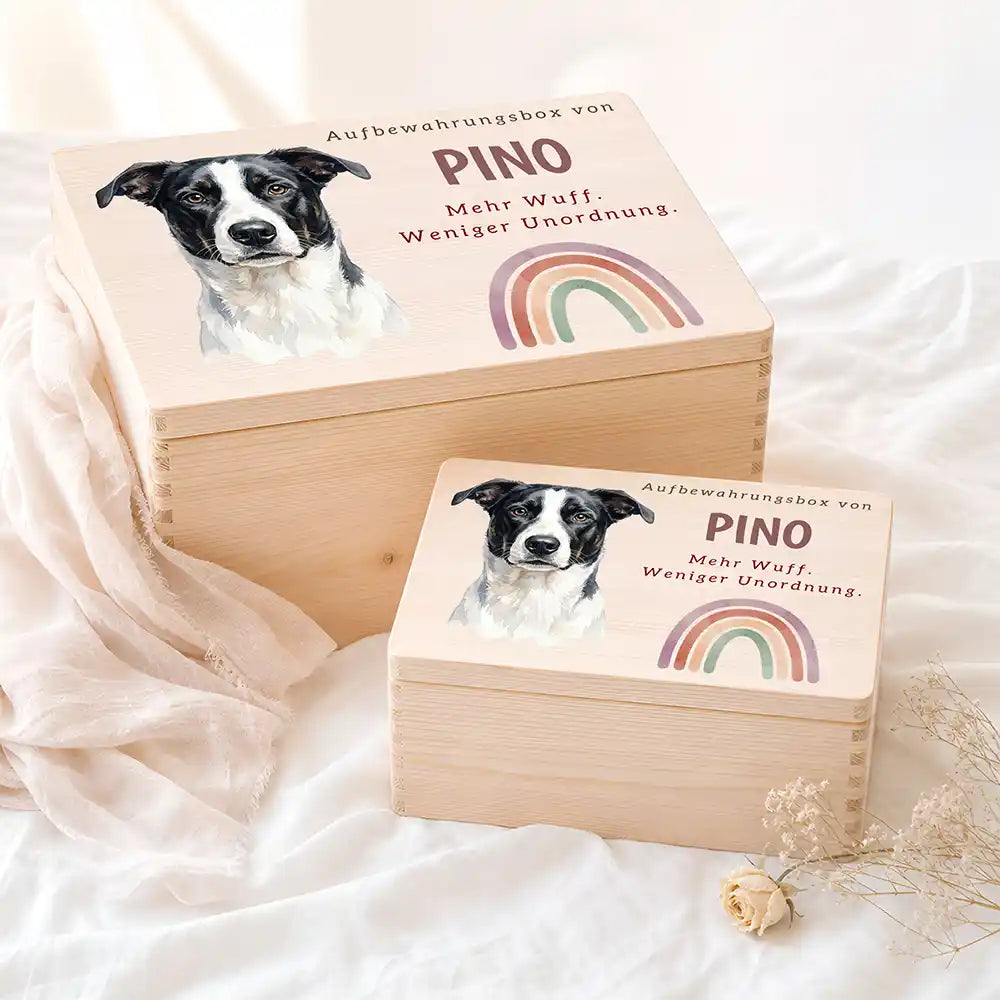 Personalisierte Aufbewahrungskiste Hund Regenbogen pastell – Etsy Hauptbild Hero mit Dackel Variante 5