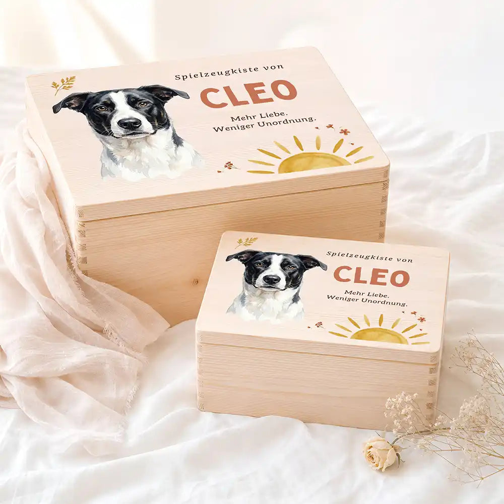 Personalisierte Spielzeugkiste Hund Sonne mit Streublumen – Etsy Hauptbild Hero mit French Bulldog (fawn) Variante 5