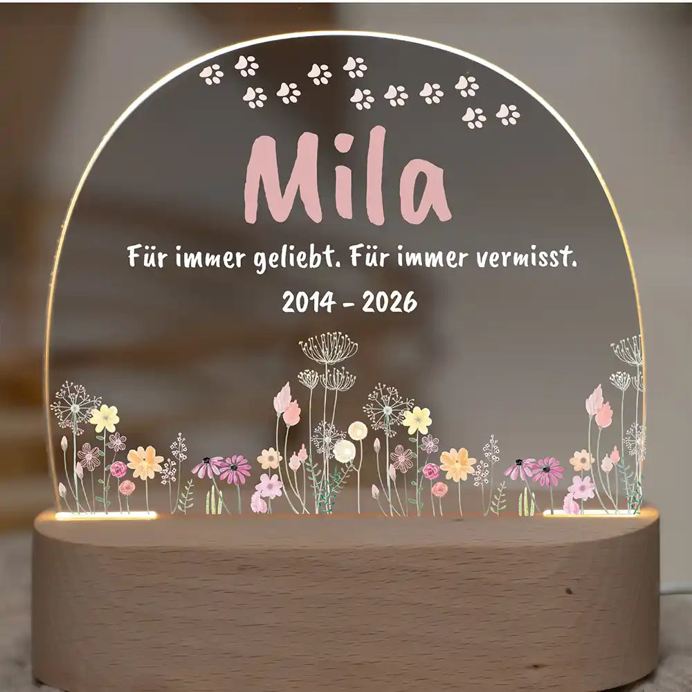 Personalisiertes Nachtlicht Haustier Andenken Wildblumen-Wiese mit Pfötchen-Bogen – Studio Hauptbild