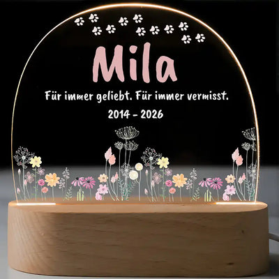 Wildblumen-Wiese mit Pfötchen-Bogen