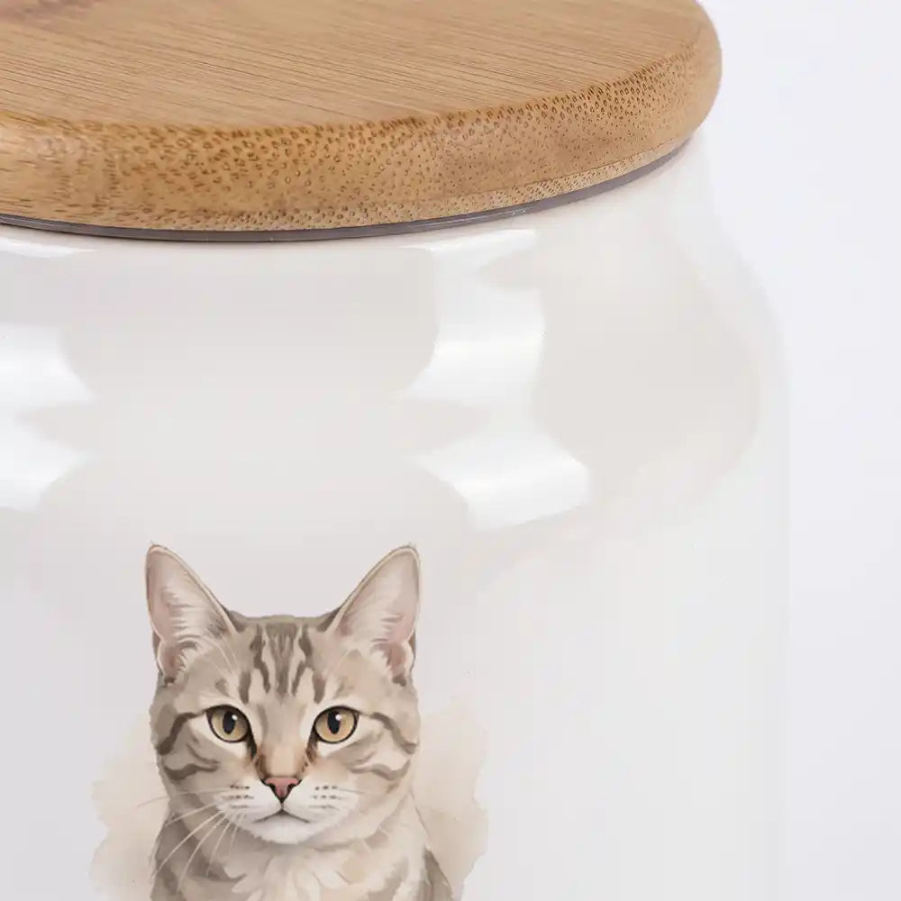 Personalisierte Katzenurne Foto klassisch – Nahaufnahme der glänzenden Keramik und des Bambusdeckels