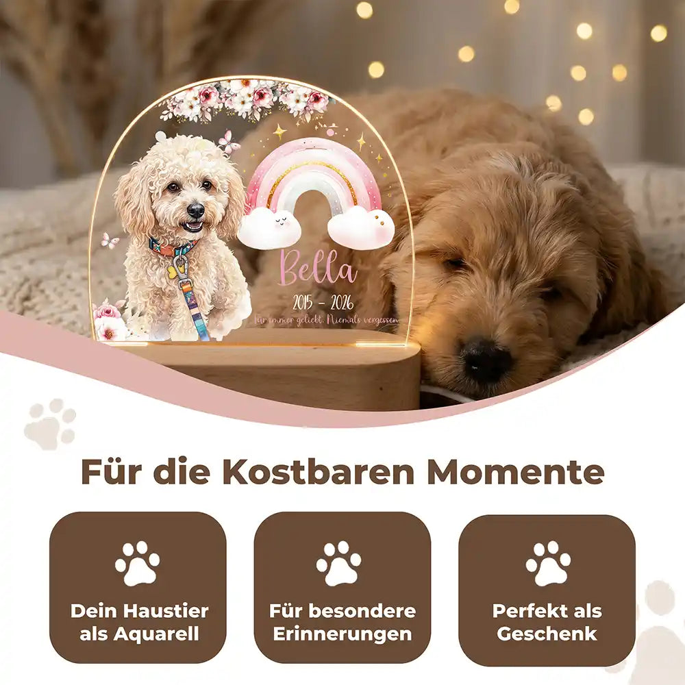 Personalisiertes Nachtlicht Haustier Andenken Pastell-Regenbogen Rosa – Detail Acrylglas