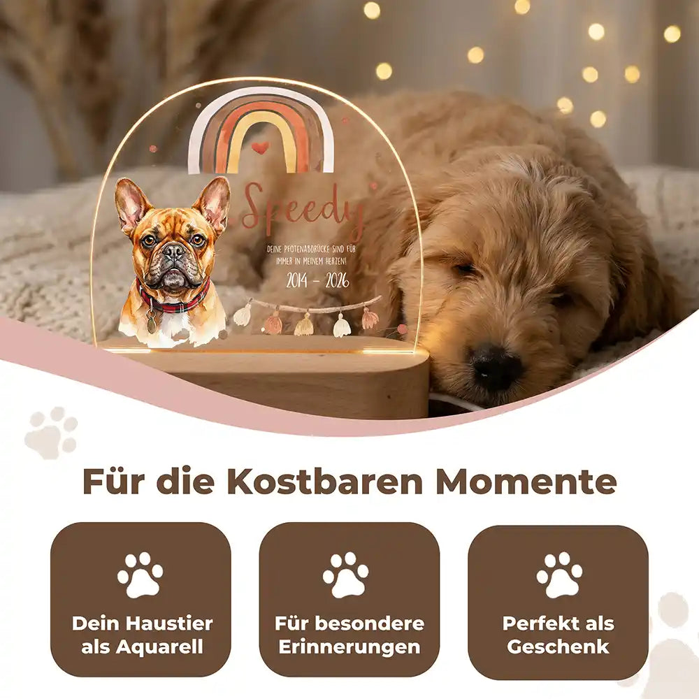 Personalisiertes Nachtlicht Haustier Andenken Boho-Regenbogen Erdtöne – Detail Acrylglas