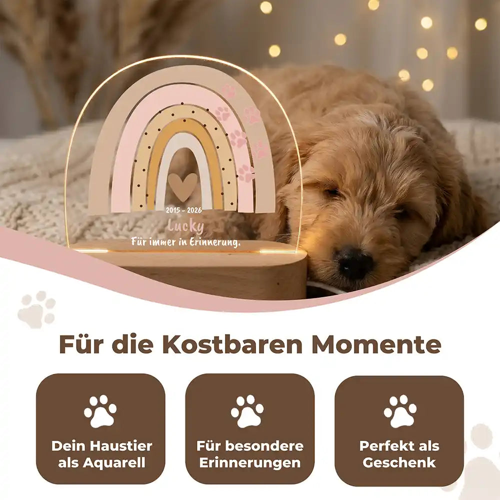 Personalisiertes Nachtlicht Haustier Andenken Boho-Regenbogen Pastell mit Pfötchen – Detail Acrylglas