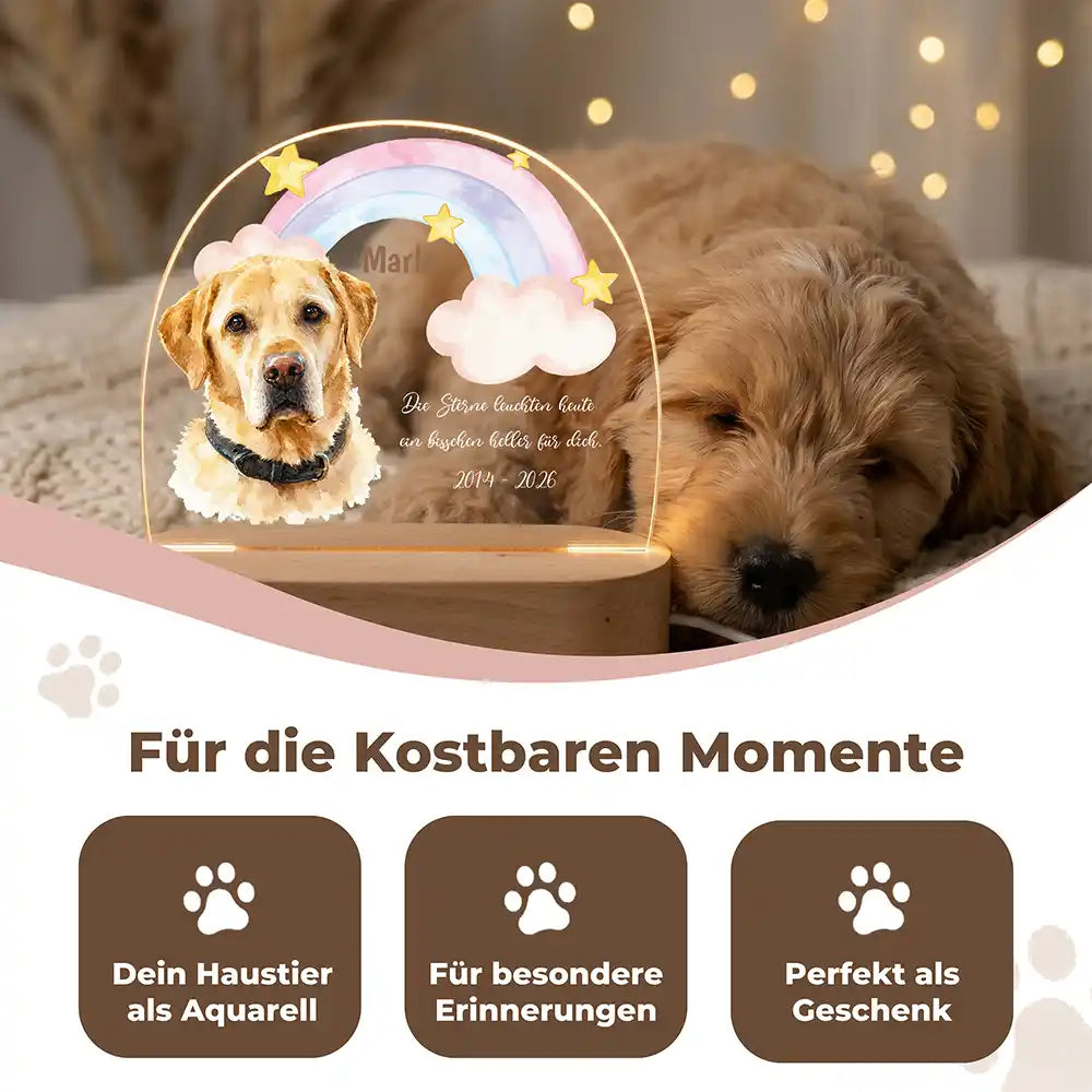 Personalisiertes Nachtlicht Haustier Andenken Pastell-Regenbogen mit Sternen – Detail Acrylglas