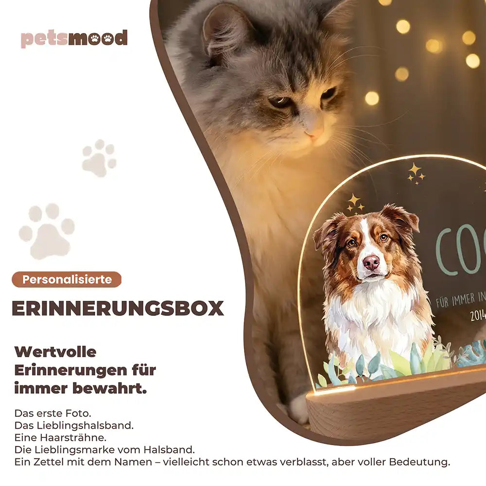 Personalisiertes Nachtlicht Haustier Andenken Eukalyptus & Sterne – Detail Lichtfarben