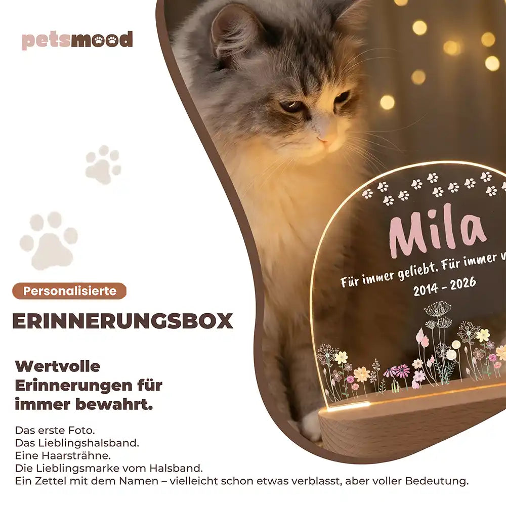 Personalisiertes Nachtlicht Haustier Andenken Wildblumen-Wiese mit Pfötchen-Bogen – Detail Lichtfarben