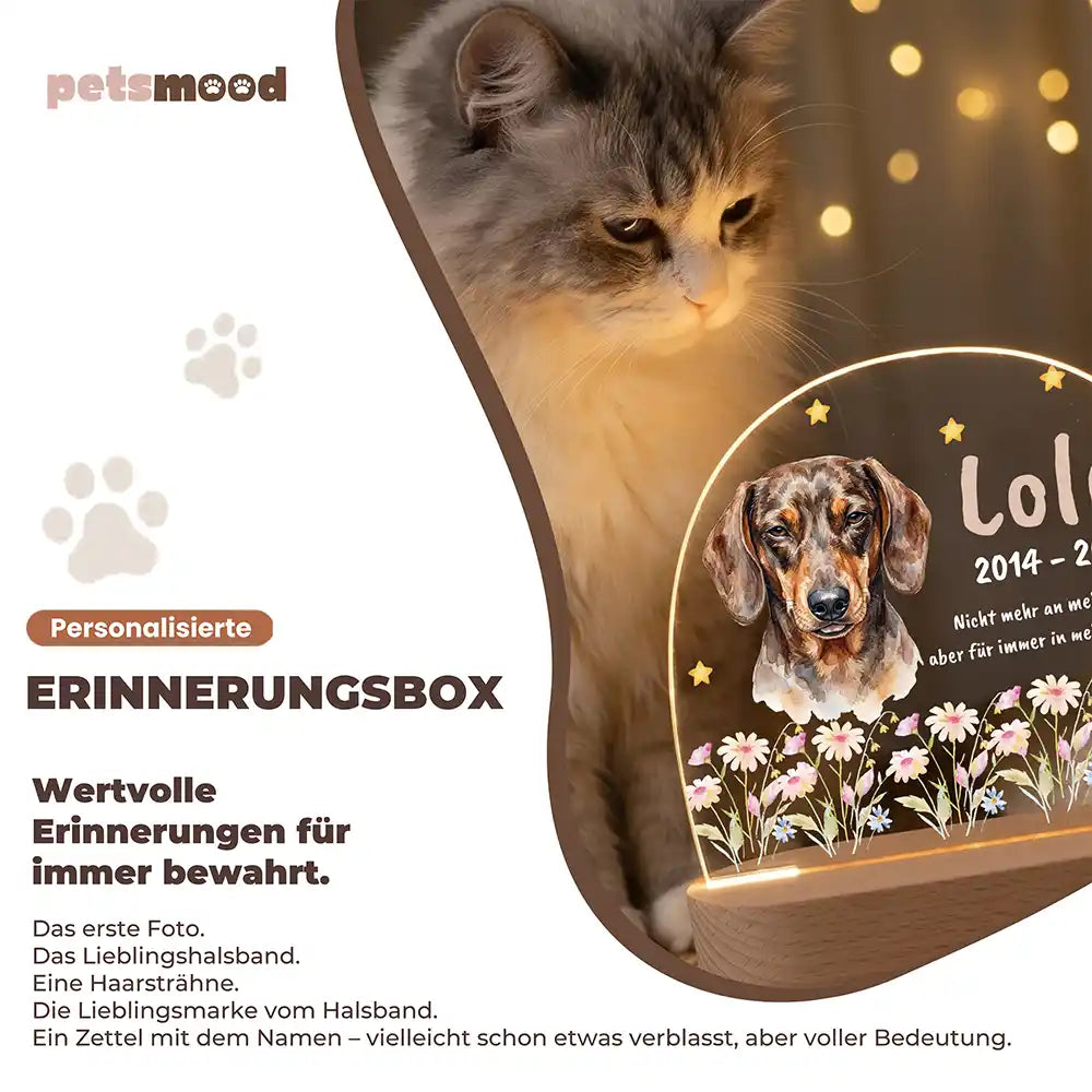Personalisiertes Nachtlicht Haustier Andenken Wildblumen-Wiese Bunt mit Sternen – Detail Lichtfarben