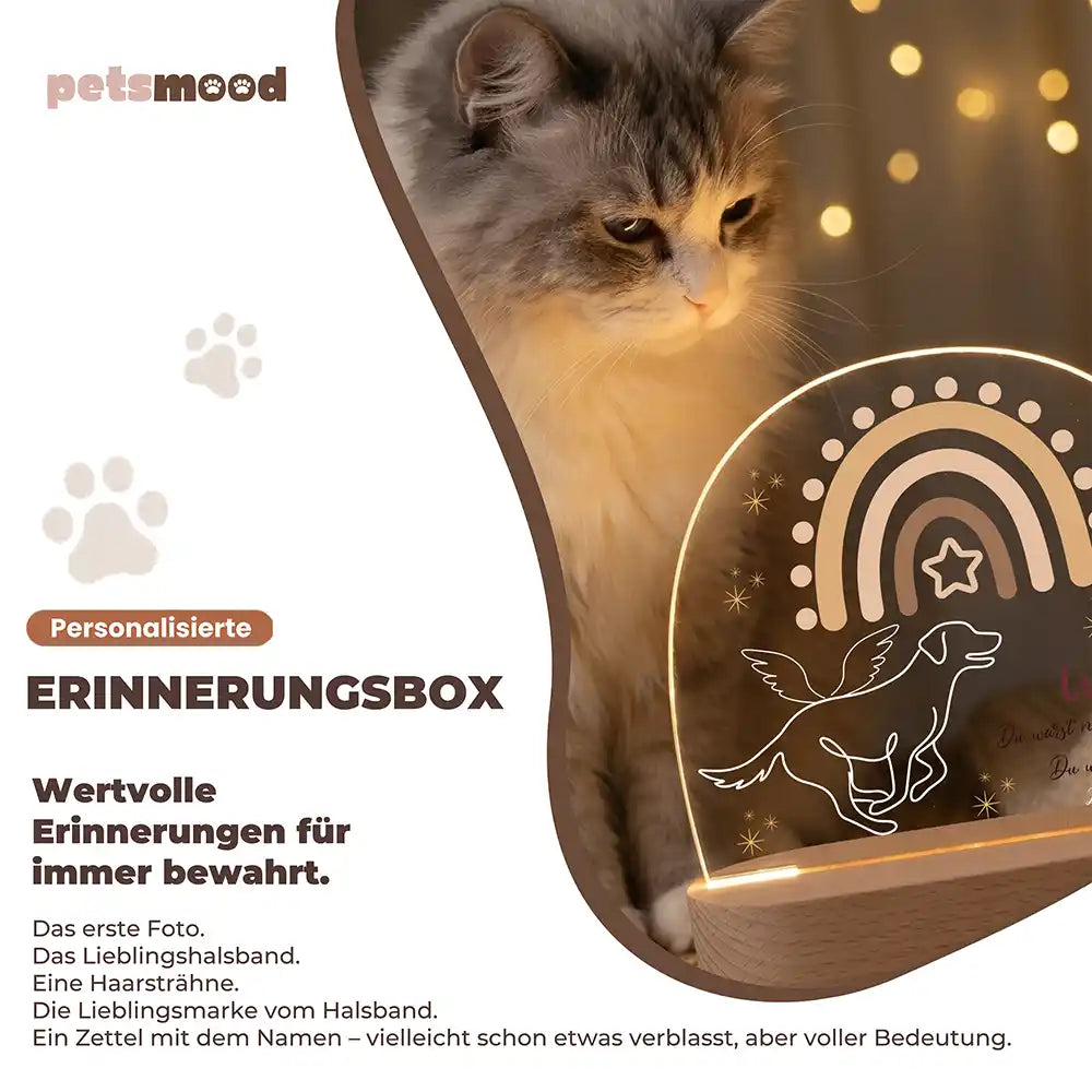 Personalisiertes Nachtlicht Haustier Andenken Boho-Regenbogen & fliegender Engel – Detail Lichtfarben