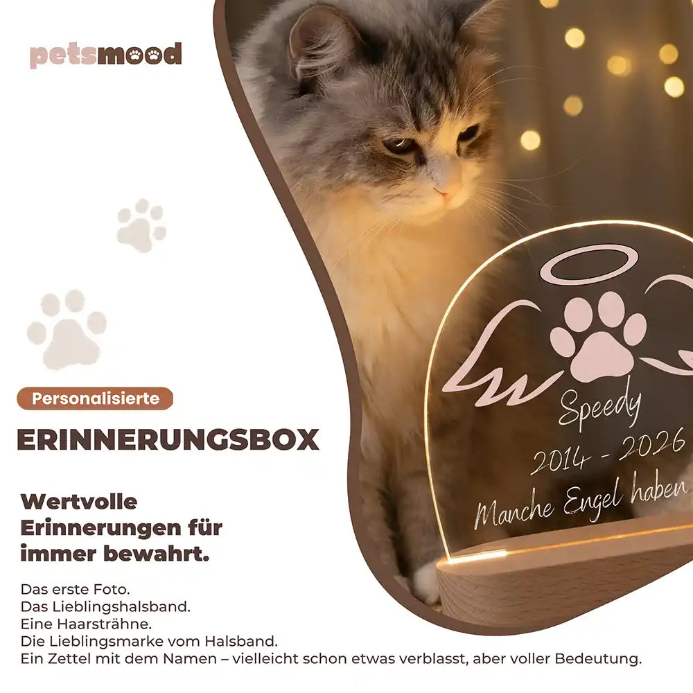 Personalisiertes Nachtlicht Haustier Andenken Engelsflügel & Pfötchen – Detail Lichtfarben