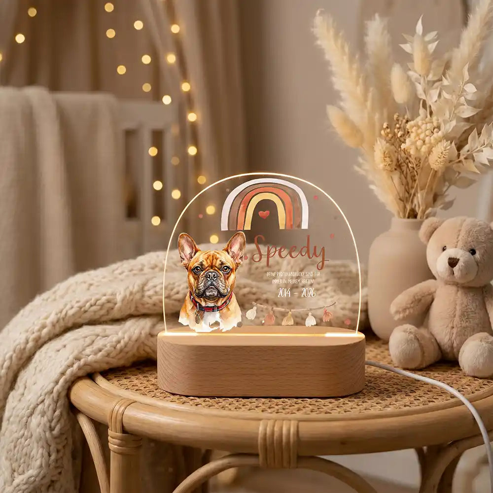 Personalisiertes Nachtlicht Haustier Andenken Boho-Regenbogen Erdtöne – Hauptbild Hero