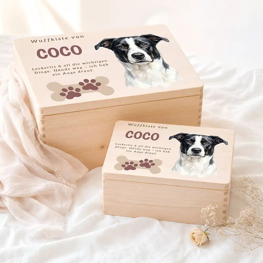 Personalisierte Aufbewahrungskiste Hund Wuffkiste mit Knochen-Pfoten – Etsy Hauptbild Hero mit French Bulldog Variante 5