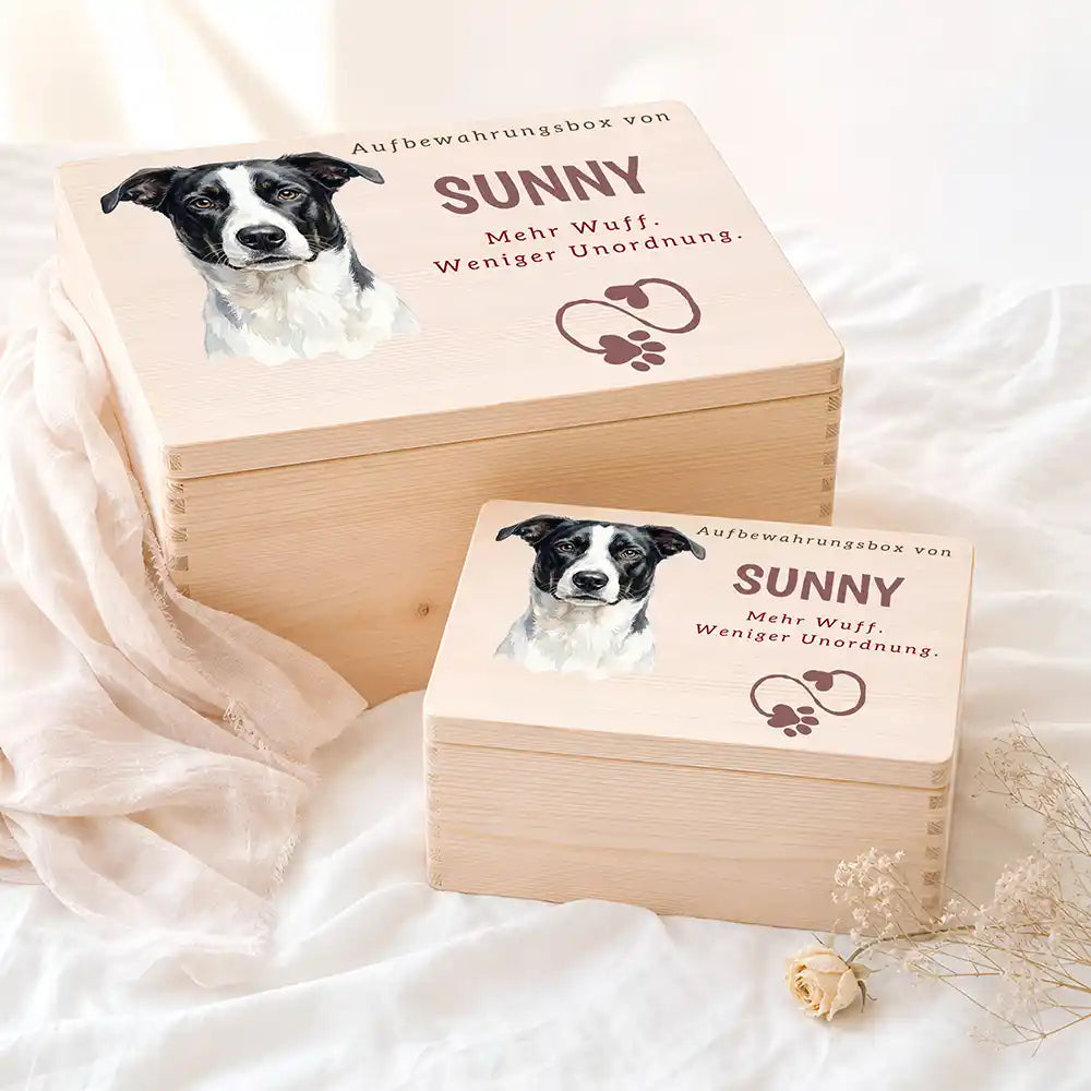 Personalisierte Aufbewahrungskiste Hund Mehr Wuff (Herz-Pfote) – Etsy Hauptbild Hero mit French Bulldog (fawn) Variante 5